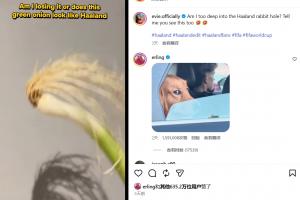 火爆巴西vs挪威比分预测_火爆巴西vs挪威比分预测在线观看_免费看直播